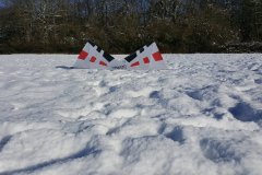 20180210_104306-242326448-1