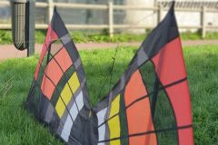 20241111_1320025043606784782681434