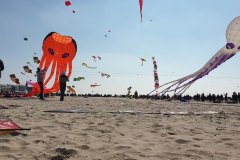 videocapture_20190411-2210166542710422557139789