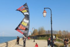 wp-16483290776645502141466628584029