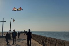 wp-16483306100845356626005428660537