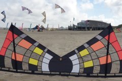 wp-16535946432957694186941546355022