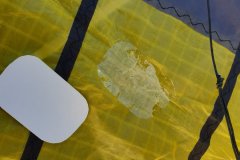 wp-16962481898114499043956613390078