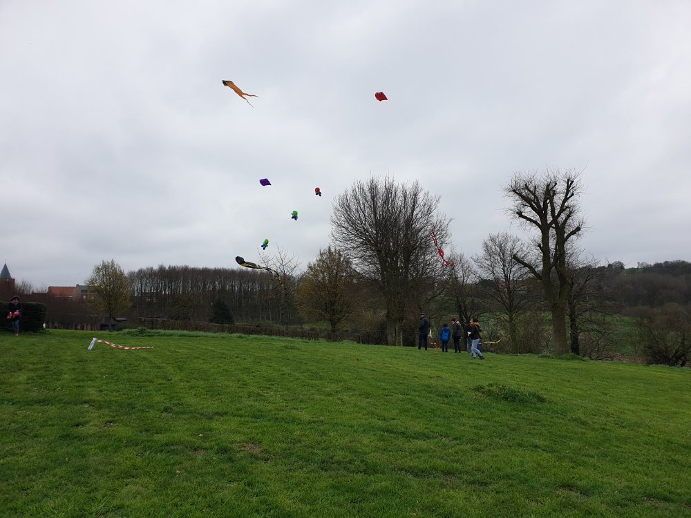 l'arbre mangeur de cerf-volant